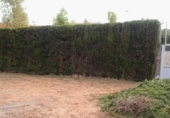 Suelo urbano en venta en la Urbanització El Racó, els Cuarts, ref: TR60702 foto