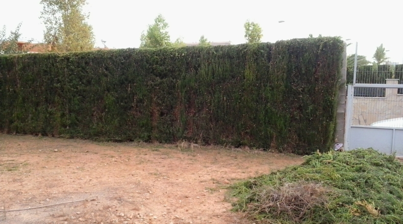 Castellón - el Balcó - 637m2