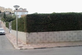 Foto 8