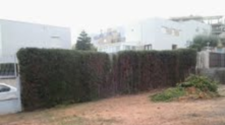 Castellón - el Balcó - 637m2