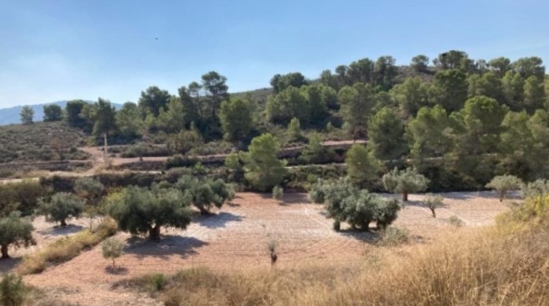 Albacete - Caudete - 220000m2