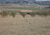 Casa de piedra con terreno en venta en la PARTIDO QUITAPENAS, Caudete, ref: TR60780 foto