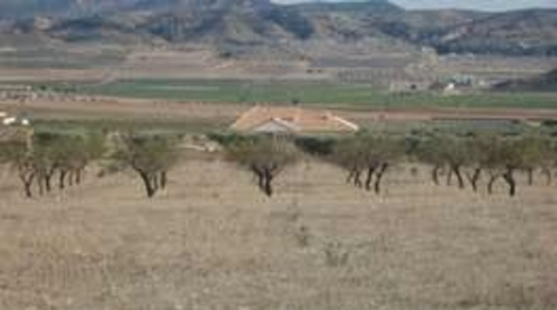 Albacete - Caudete - 220000m2