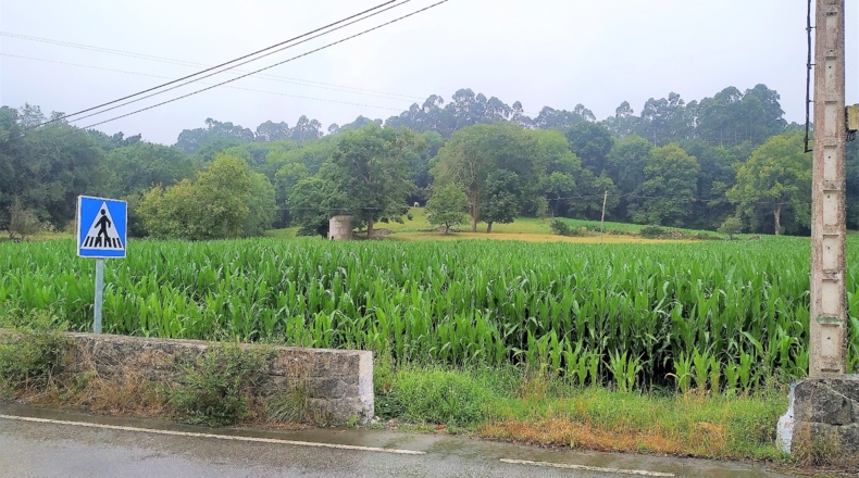 Cantabria - San Mamés de Aras - 36721m2