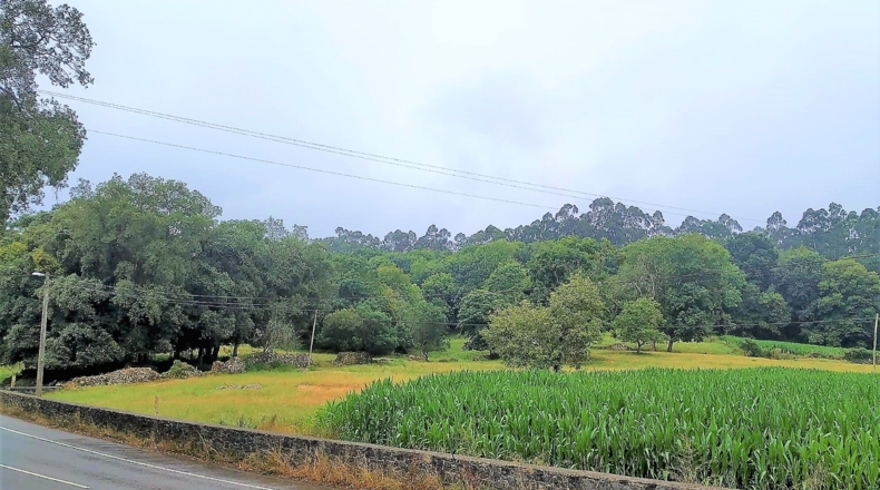 Cantabria - San Mamés de Aras - 36721m2