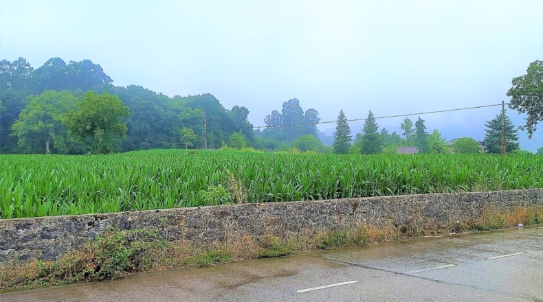 Cantabria - San Mamés de Aras - 36721m2