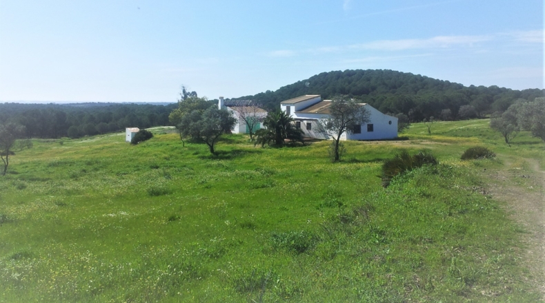 Huelva - Niebla - 60000m2