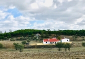 Chalet independiente con terreno en venta en la kilómetro 14 de la carretera nacional HU-3106 de Niebla a Valverde del Camino, Niebla, ref: TR60788 foto