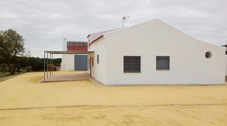 Huelva - Niebla - 60000m2