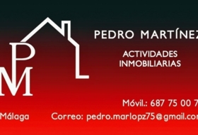 Pedro Martinez foto