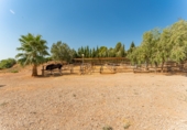 Finca rústica en venda a la La Vall d'Uixò, la Vall d'Uixó, ref.: TR61232 foto