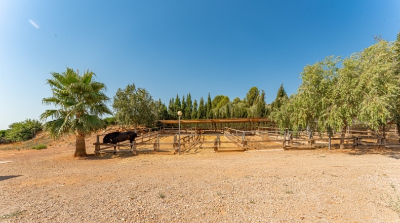 Castellón - La Vall d'Uixó - 54000m2