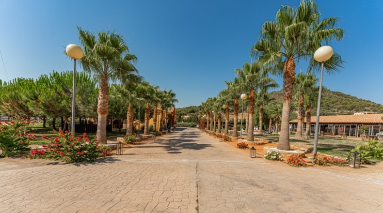 Castellón - La Vall d'Uixó - 54000m2