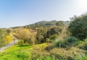 Parcel·la urbanitzable en venda a la Calle Agarrebaso Kalea, Munguía, ref.: TR61237 foto