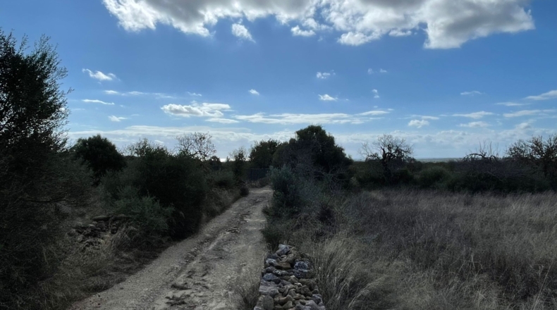 Islas Baleares - s'Alqueria Blanca - 14133m2