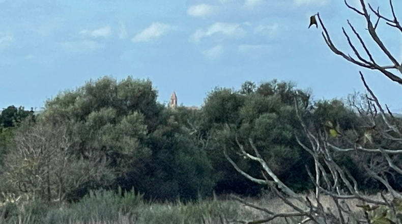 Islas Baleares - s'Alqueria Blanca - 14133m2