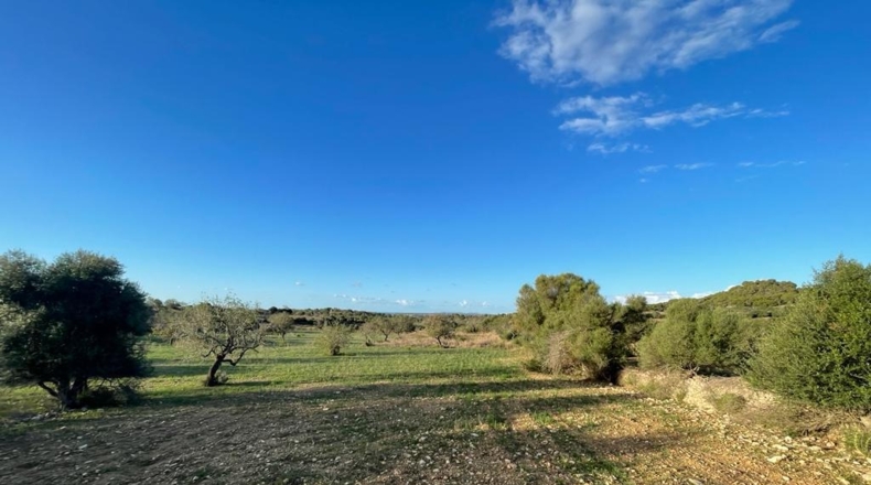 Islas Baleares - s'Alqueria Blanca - 21108m2