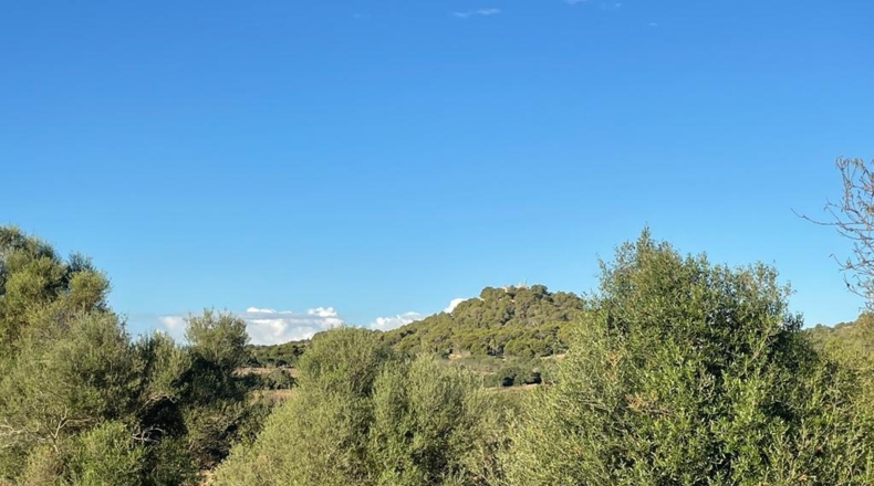 Islas Baleares - s'Alqueria Blanca - 21108m2