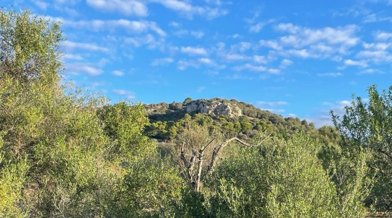 Islas Baleares - s'Alqueria Blanca - 21108m2