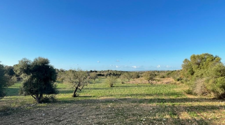 Islas Baleares - s'Alqueria Blanca - 21108m2