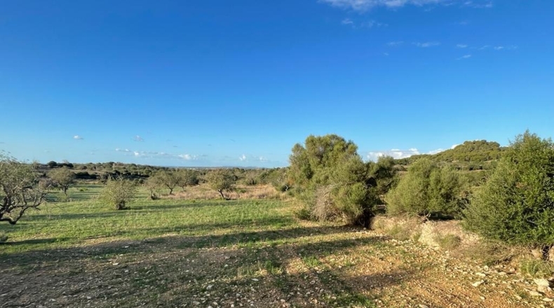 Islas Baleares - s'Alqueria Blanca - 21108m2