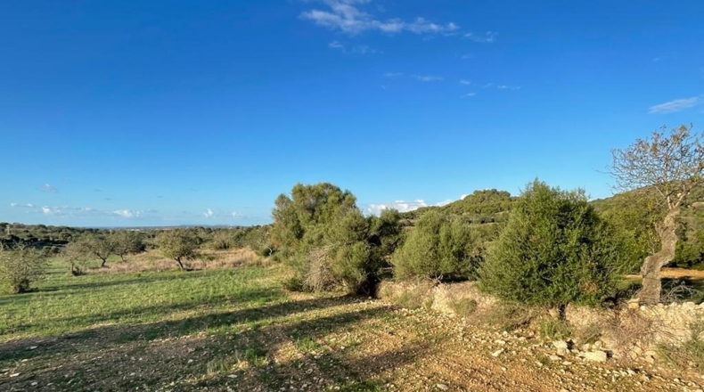 Islas Baleares - s'Alqueria Blanca - 21108m2