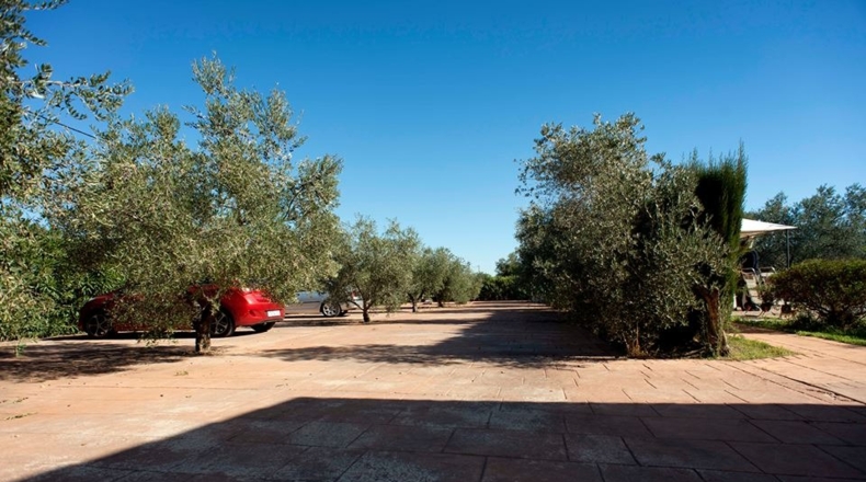 Córdoba - La Carlota - 6430m2