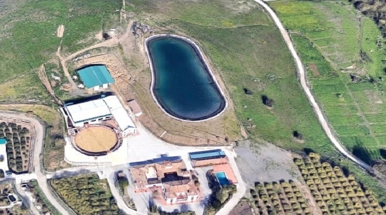 Málaga - Málaga - 4283m2