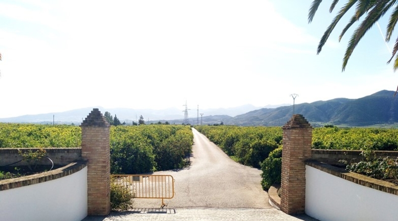Málaga - Málaga - 4283m2