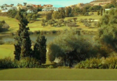 Vil·la amb terreny en venda a la Calle Los Lagos, La Alqueria, ref.: TR61895 foto