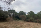 Parcela urbanizable en venta en la Carrer Corona Australis, Piera, ref: TR61900 foto