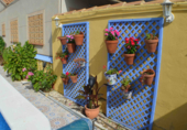 Отдельно стоящий дом с участком на продажу в городе Playa Flamenca I Фото