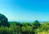 Suelo urbano en venta en la Monte Mayor Country Club, Benahavís, ref: TR61676 foto