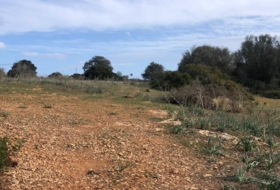 Cala Egos 20065&nbsp;м²