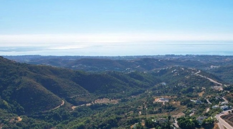 Málaga - Club Montemayor - 4648m2