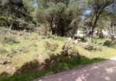 Sòl urbà en venda a Còrdova ref.: TR62223 foto