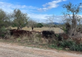 Terreno no urbanizable en venta en la Carrer de Mondrago 3265, Santanyí, ref: TR62459 foto