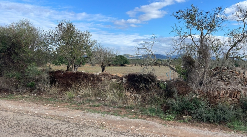 Islas Baleares - Santañy - 27215m2