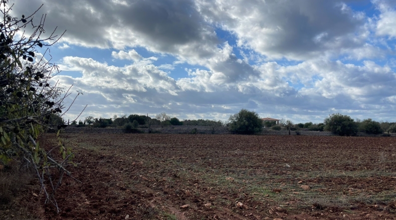 Islas Baleares - Santañy - 27215m2