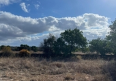 Land with ruins for sale on Ma-14, Santanyí, ref: TR62458 photo