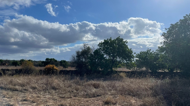 Islas Baleares - Santañy - 24034m2
