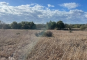 Land with ruins for sale on Ma-14, Santanyí, ref: TR62458 photo