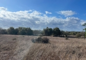 Land with ruins for sale on Ma-14, Santanyí, ref: TR62458 photo