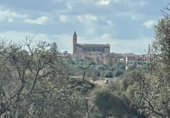 Land with ruins for sale on Ma-14, Santanyí, ref: TR62458 photo