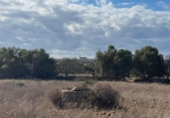 Land with ruins for sale on Ma-14, Santanyí, ref: TR62458 photo