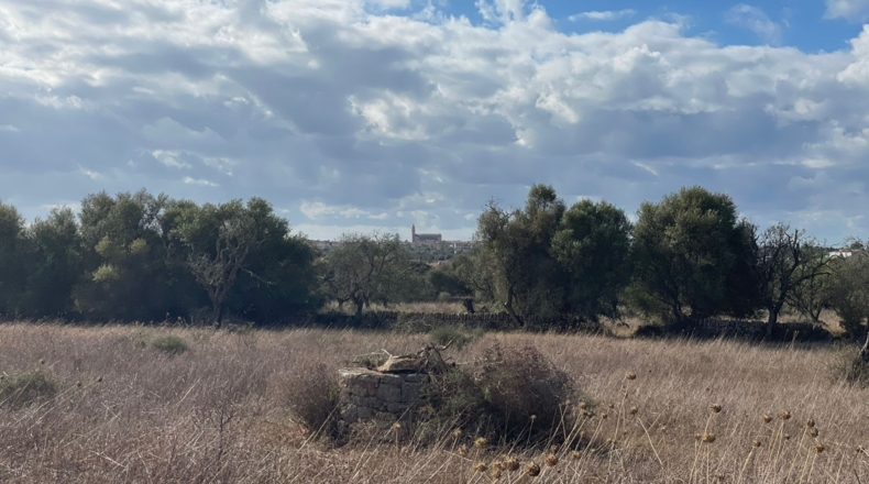 Islas Baleares - Santañy - 24034m2