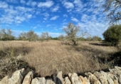 Land with ruins for sale on Ma-14, Santanyí, ref: TR62458 photo