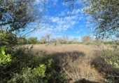 Land with ruins for sale on Ma-14, Santanyí, ref: TR62458 photo