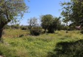 Non-developable land for sale on Na Timonera, Santanyí, ref: TR62457 photo