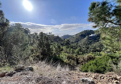 Sòl urbà en venda a la A-397, Benahavís, ref.: TR62707 foto